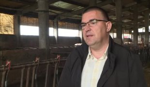 Јутарњи програм