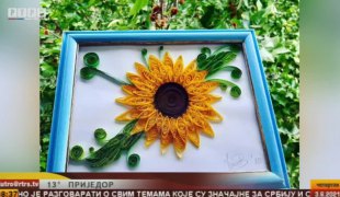 Јутарњи програм