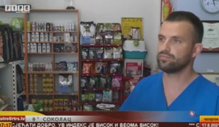Јутарњи програм