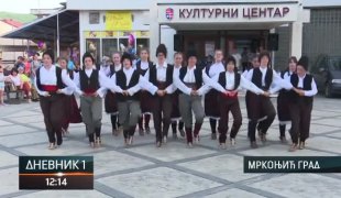 Дневник 1