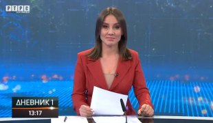 Дневник 1