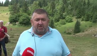 Јутарњи програм