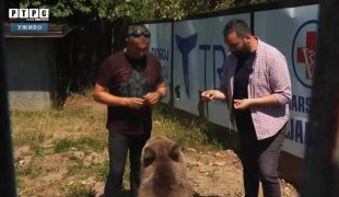 КАРАВАН