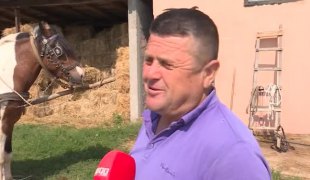 Јутарњи програм