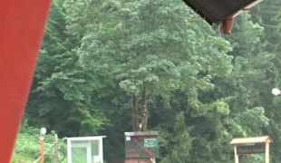 КАРАВАН