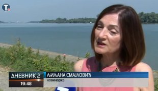 Дневник 2