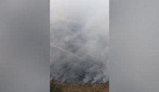 Вијести