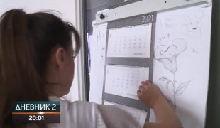 Дневник 2