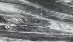 Јутарњи дневник