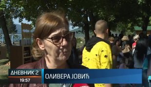 Дневник 2