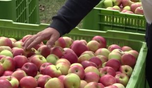 Јутарњи програм