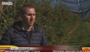 Јутарњи програм
