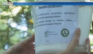 Квадрат на знање