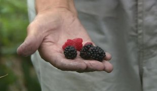 Јутарњи програм