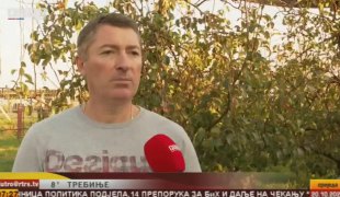 Јутарњи програм