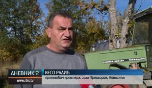 Дневник 2