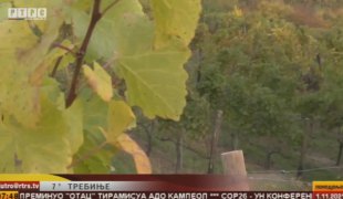 Јутарњи програм