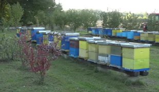 Квадрат на знање