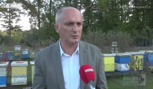 Квадрат на знање