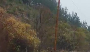 Вијести