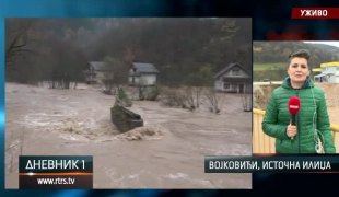 Дневник 1