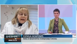Дневник 1