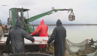 Печат