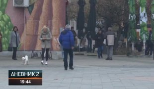Дневник 2