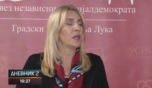 Дневник 2