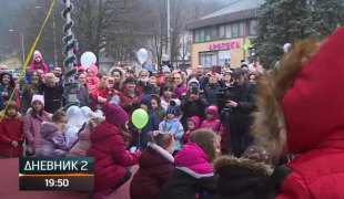 Дневник 2