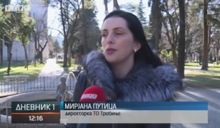 Дневник 1