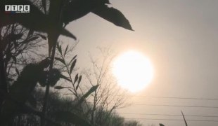 Вијести