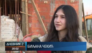 Дневник 2