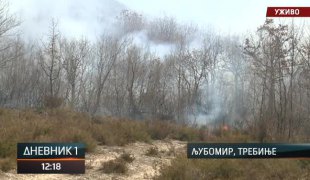 Дневник 1
