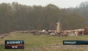 Дневник 1