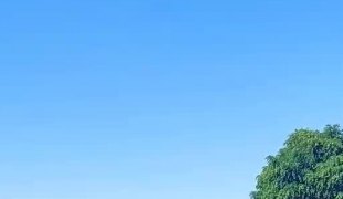 Вијести
