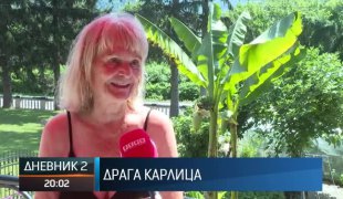 Дневник 2
