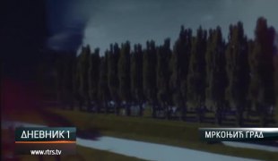 Дневник 1
