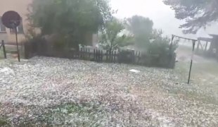 Вијести