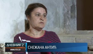 Дневник 2
