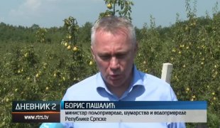 Дневник 2