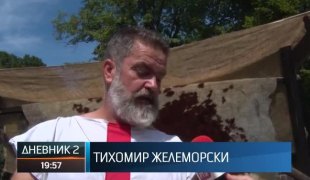 Дневник 2