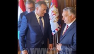 Вијести