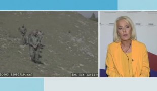Јутарњи програм