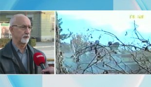 Јутарњи програм