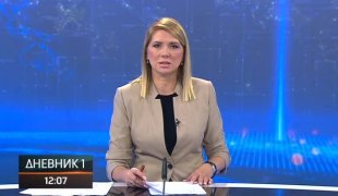 Дневник 1