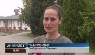 Дневник 1