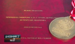 Дневник 2