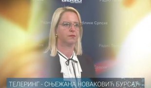 Телеринг