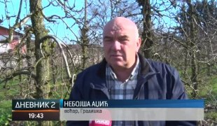 Дневник 2